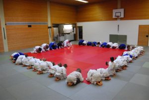 Read more about the article Judo Anfängerkurs